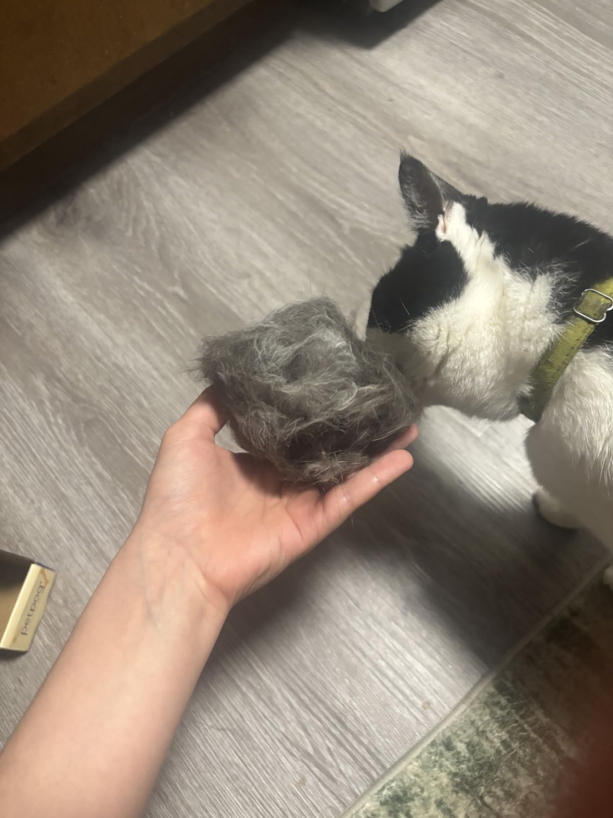 PetPog Grooming & Deshedding Brush 2.0 Pink