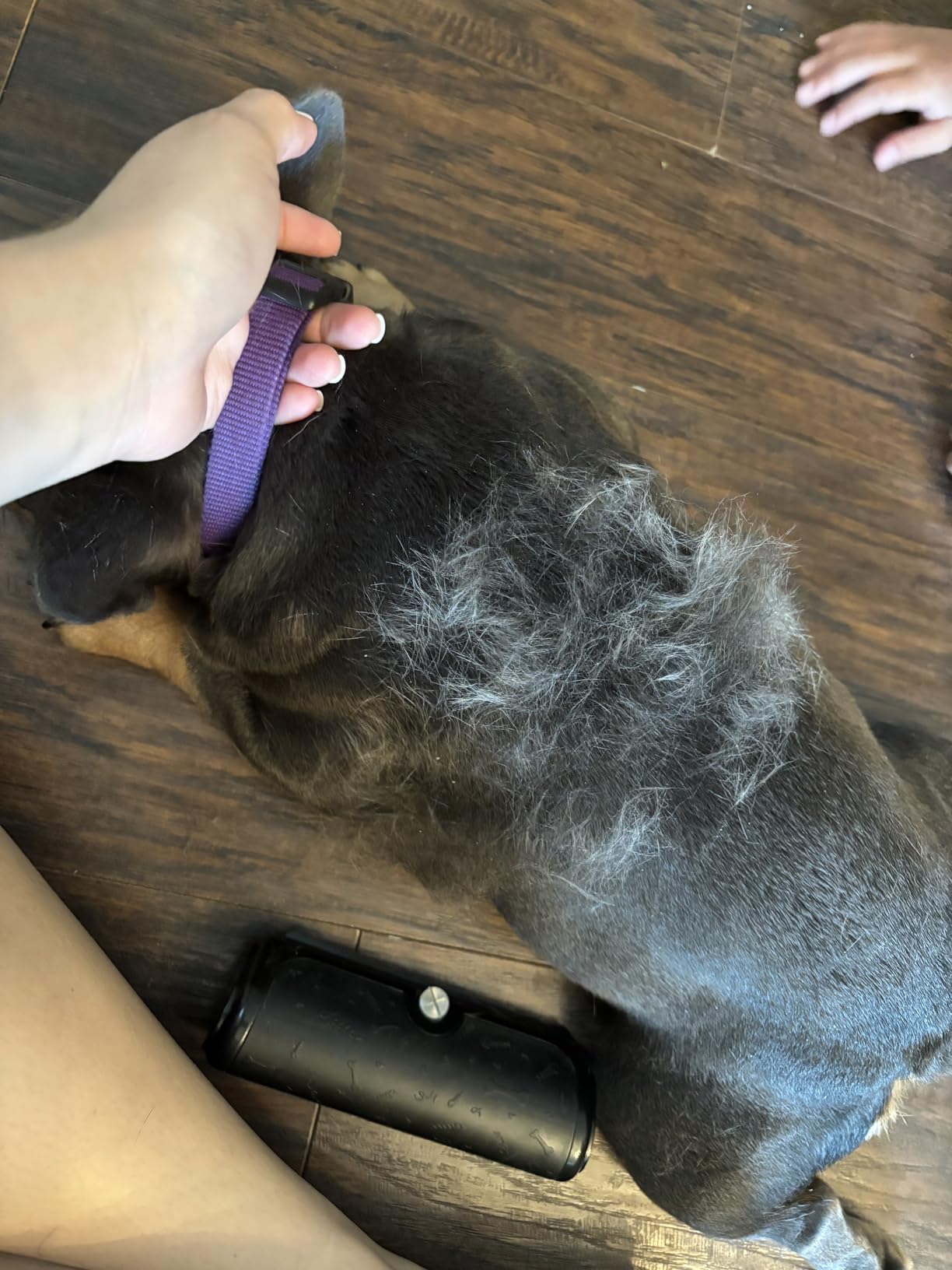 PetPog Grooming & Deshedding Brush 2.0 Pink